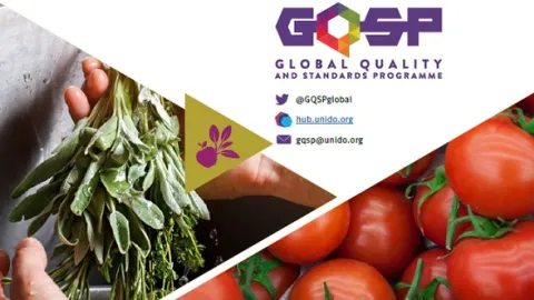 Još jedna GQSP UNIDO uspešna priča stiže iz Kirgistana