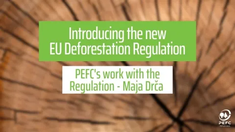 PEFC-ov angažman u novoj EU Uredbi o krčenju šuma