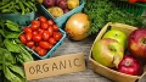 Komplikovana sertifikacija usporava razvoj organske proizvodnje u Srbiji
