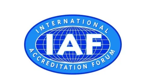 Šta je IAF?