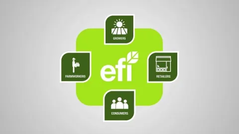 Izjava GFSI u vezi sa suspenzijom Inicijative za pravičnu hranu (EFI)