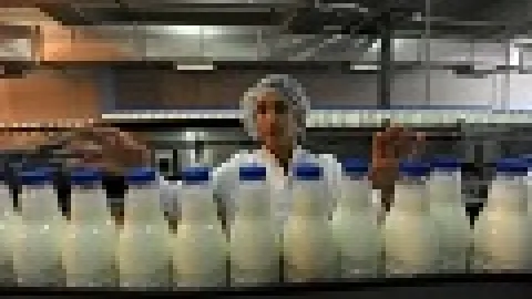 Nedimović: Akreditacija laboratorije za kontrolu mleka do decembra