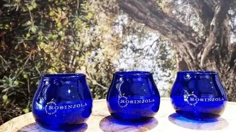Društvo maslinara Bar: Kako se postaje senzorski ocjenjivač djevičanskih maslinovih ulja