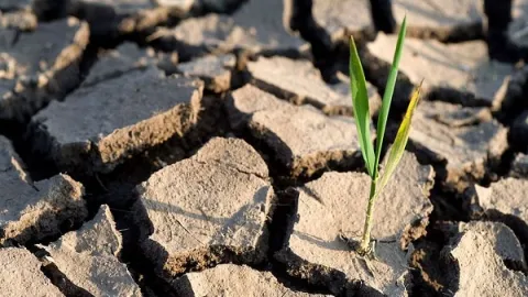Korišćenje međunarodnih standarda i procene usklađenosti u borbi protiv klimatske krize
