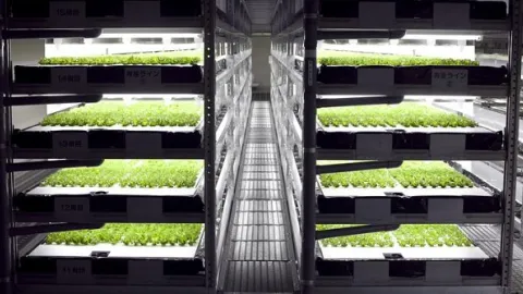Novi LED standard za hortikulturno osvetljenje