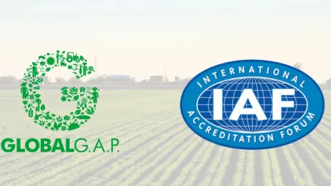 IAF podržava GlobalGAP-ov najnoviji standard o bezbednosti hrane - IFA v6