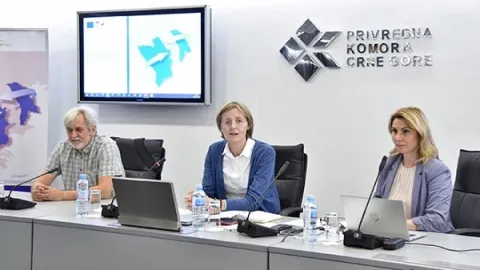GIZ radionica: ”Rezultati procjene usklađenosti električnog i mašinskog sektora CG sa EU regulativom”